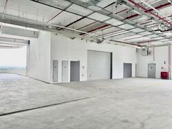 Ct Foodnex (D25), Factory #506199121